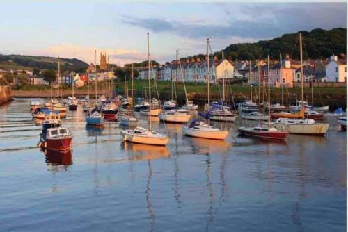 Quirky Cottage with Private Garden Nr New Quay Cardigan Bay