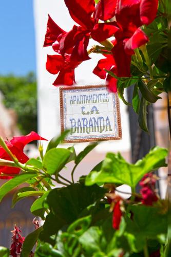 Apartamentos La Baranda - main image