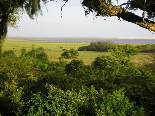 Kilátás, Aldeia Santuario das Aves in Tavares