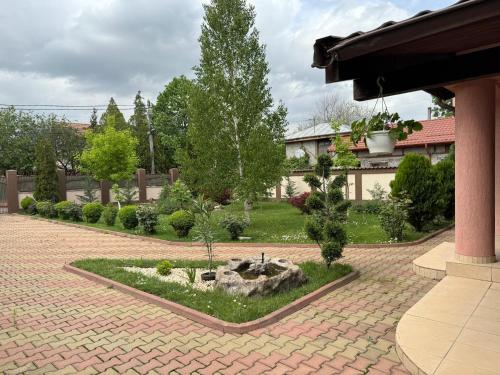 Forest Spătaru, Buzău (foto 2)