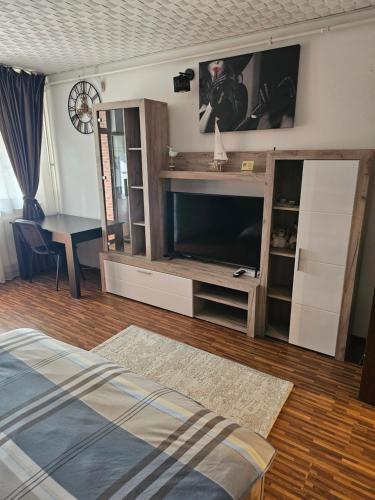 Garsoniera Dary Bloc G2str Mihai Bravu - Apartment - Turnu Măgurele