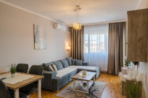 SPA 25 - Apartment - Vrnjačka Banja
