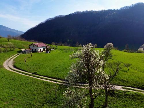 Holiday Home Krn - image 4