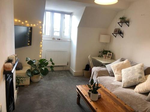 Boutique top floor apartment central Windsor, Windsor (foto 6)