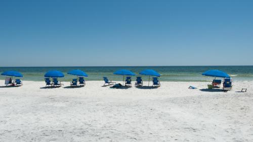 Moon Glow in Seagrove Beach (FL)