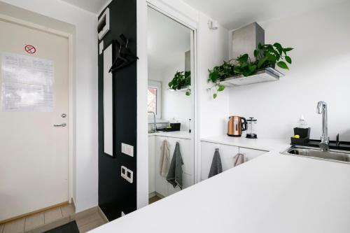 Apartment for one - grey, Tallinn (photo 7)