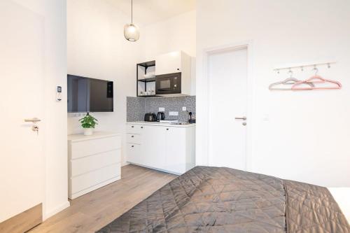 Extreme Central - Modern Mini Studio - image 9