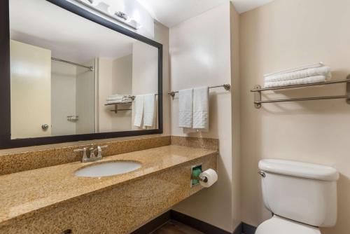 Best Western Oak Manor - image 14