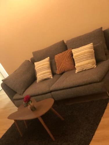 Superbe Appartement tout équipé, Le nid d'Eva à Metz Gare, Parking privé, Balcon, F2, 50m2, 3p