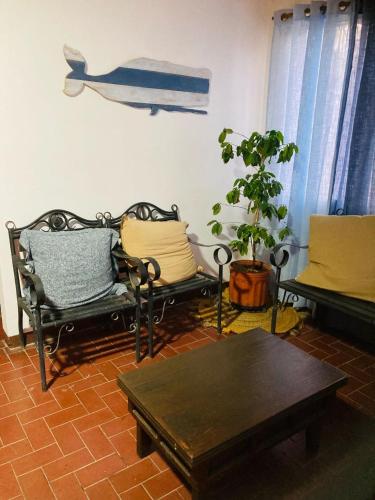 Hostel Casa Mar in 利韦里亚