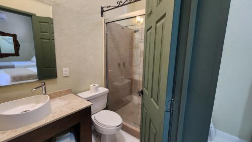 550879540 Mansion San Miguel