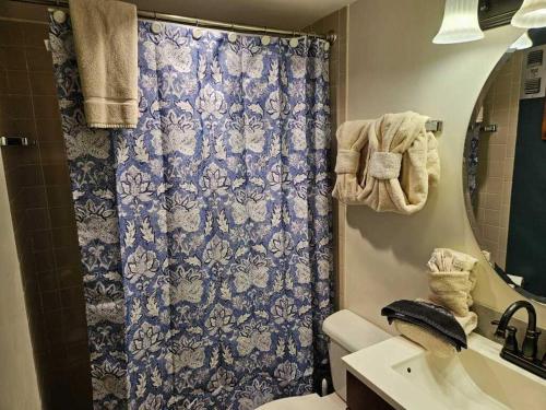 Roaring Fork Hideaway #214 - image 12