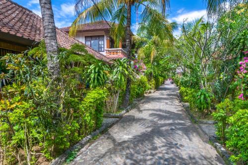 Paradise Palm Beach Bungalows and Dive Center