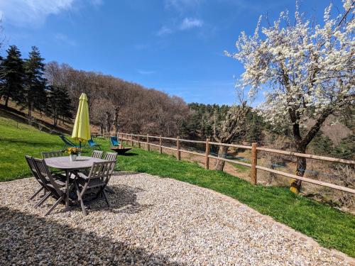 Ancienne ferme rénovée avec jardin privé, poêle à bois et terrasse - FR-1-582-44 (Ancienne ferme renovee avec jardin prive, poele a bois et terrasse - FR-1-582-44) in Laguiole