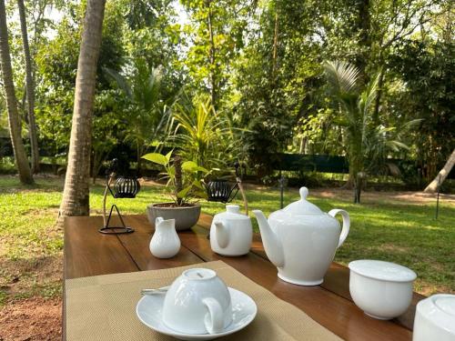 Elegant Hamlets Home Stay in Chilaw