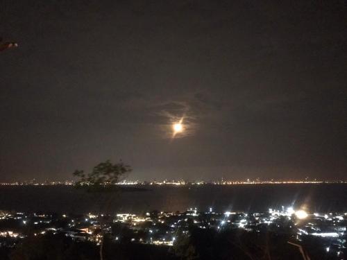 파리냐 힐 홈스테이 앤 카페 - 전망
