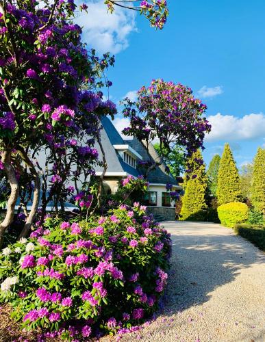 Le Joyau de Balmoral - Pension de famille - Sart-lez-Spa