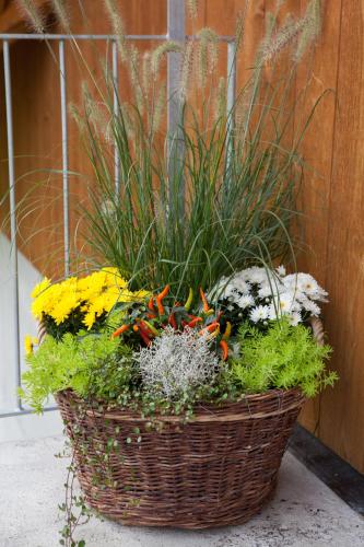 B&B Ferienhof am See - image 10