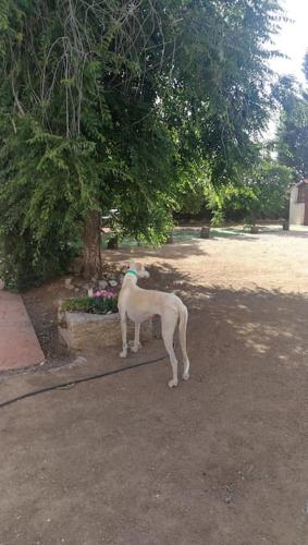 Villa Marichu. Piscina, BBQ y a 15 min Puy du Fou