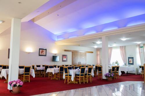 Hotel Iris in Borș