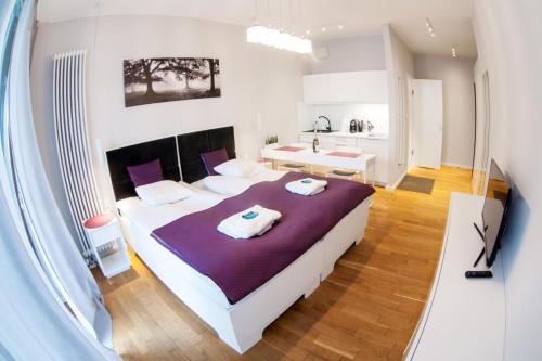 Triton Apartments in Warsaw, Varšava (fotografie 9)