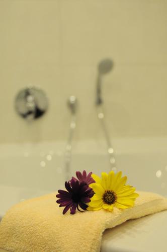 Foto - Hotel Restaurant Doppeladler