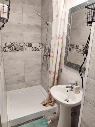 Chuveiro, Cozy Studio Apartment in Arad City Center in Centru