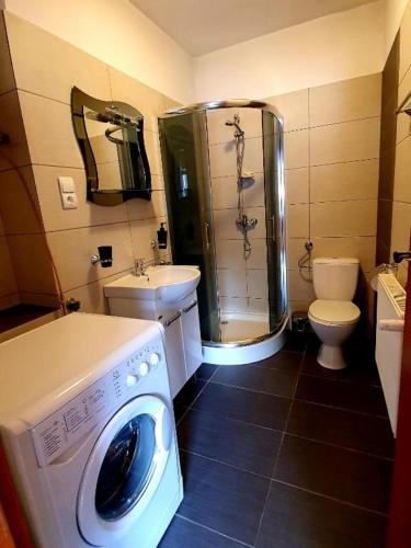 Mieszkanie w Szklarskiej, Szklarska Poręba (foto 6)