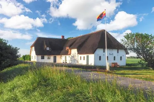 Anemaleen in Galmsbüll, Deutschland