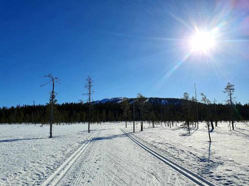 Kelotupa 19, Syöte