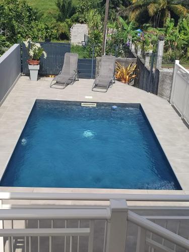 Les cattleyas in Petit-Bourg