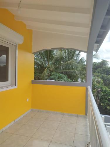 Les cattleyas in Petit-Bourg