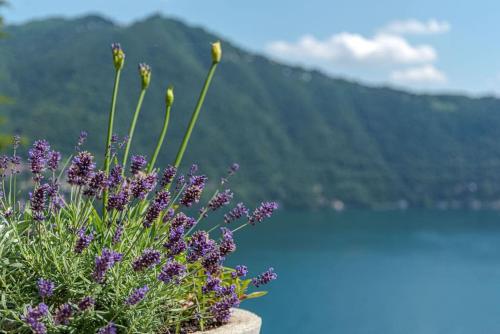Suite in Villa Emilia- amazing lake view, Cernobbio (photo 6)