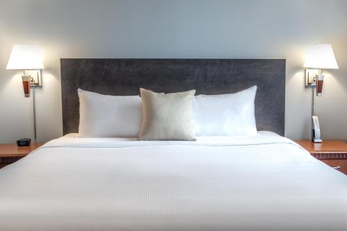 Executive King Suite