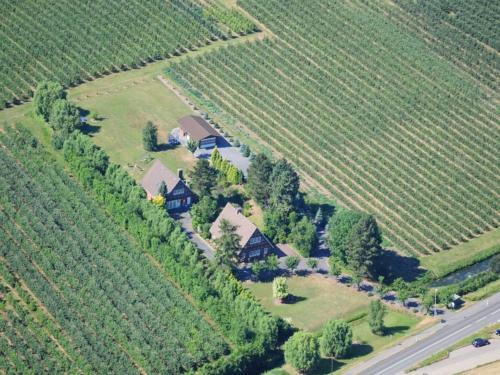 Appartement Jork Altes Land bei Hamburg direkt an der Elbe