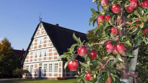 Appartement Jork Altes Land bei Hamburg direkt an der Elbe