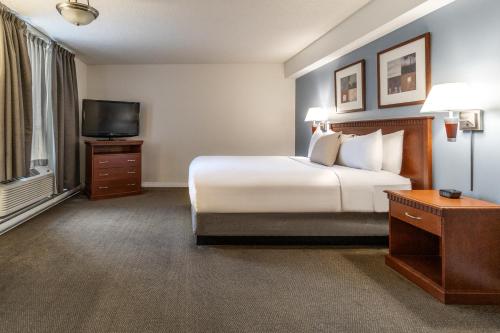Hotel Saint-Laurent Montreal Room Type - Queen Studio 