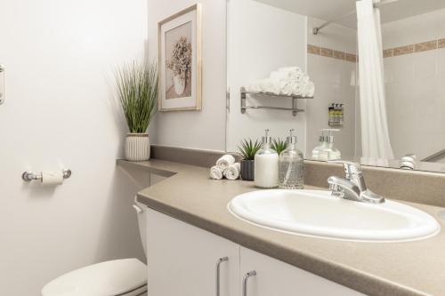 Queen Studio  room in Hôtel Saint-Laurent Montréal