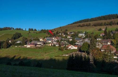 Apartment 12 - Ferienresidenz Roseneck, 2 Schlafzimmer, mit Schwimmbad in Todtnauberg bei Feldberg