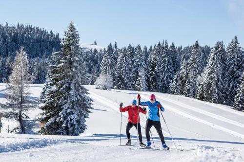 Apartment 17 - Ferienresidenz Roseneck, Galeriewohnung, mit Schwimmbad in Todtnauberg bei Feldberg