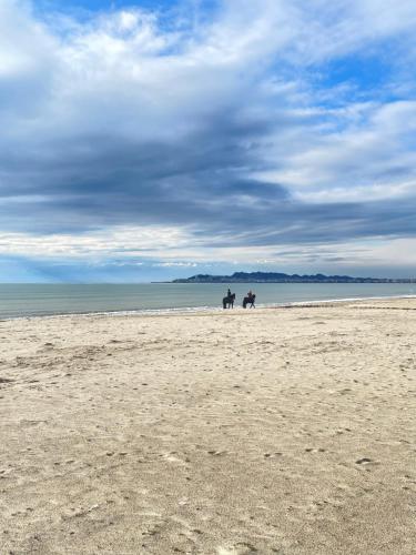 Hotel Benilva - image 3