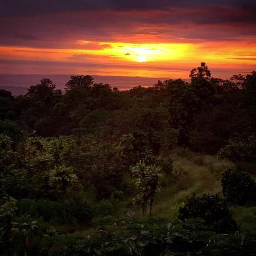 Hale Hualalai – Holualoa, HI