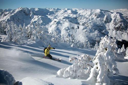 Grand studio à la montagne