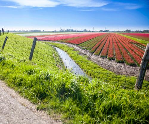 Vakantiehuisje Kei 2 personen - Zeezand Recreatie in Schagen