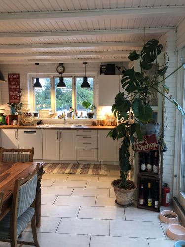 Kitchen, Køge Bed & Kitchen in Koge