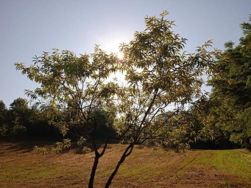 La Casa Rossa -Dimora di campagna