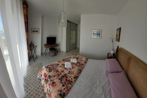 villa les lavandes chambre d'hôte Planguenoual