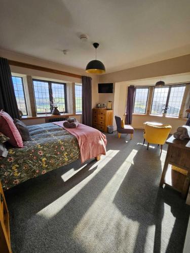 1 king bed