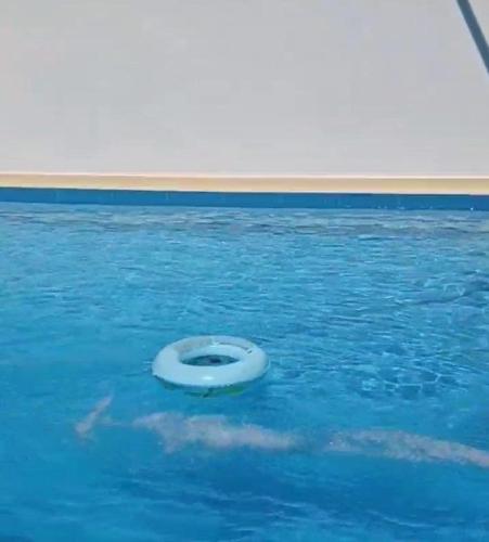 Piscine, Jijel location F3 avec piscine plein air après-midi (Jijel location F3 avec piscine plein air apres-midi) in Jijel