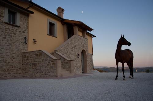  Agriturismo Il Moro, Gubbio bei Chiaserna